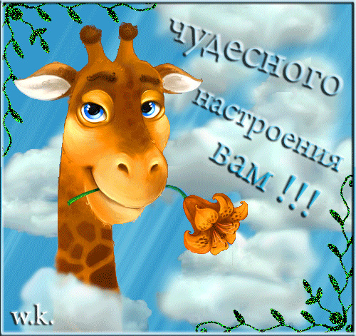 Открытка Открытки хорошего настроения - Открытка с жирафом и цветком | Красивая открытка #93