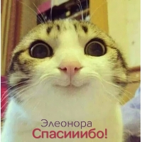 Открытка открытки с именем Элеонора  - Забавная открытка с котиком: Элеонора, СпасиИиБо! | Красивая открытка #10