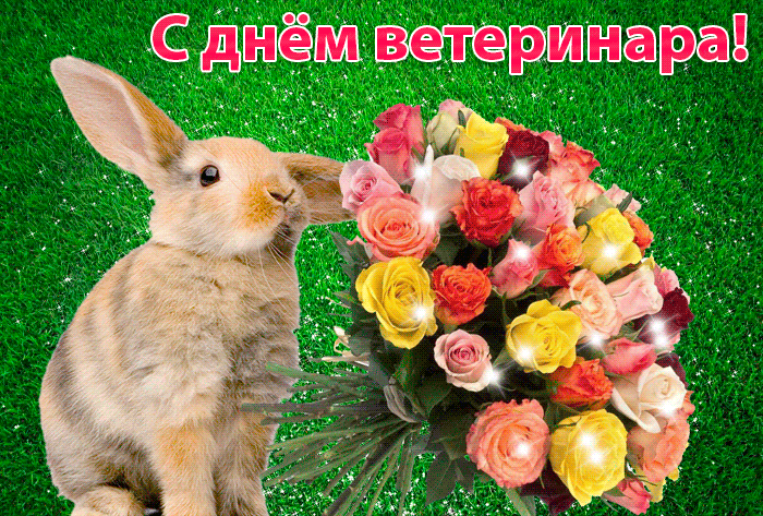 Открытка С зайчиками - Заяц с цветами: открытка с днем рождения | Красивая открытка #31