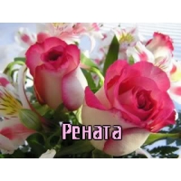 Открытка открытки с именем Рената - Букет роз: нежные розовые и белые цветы | Красивая открытка #19