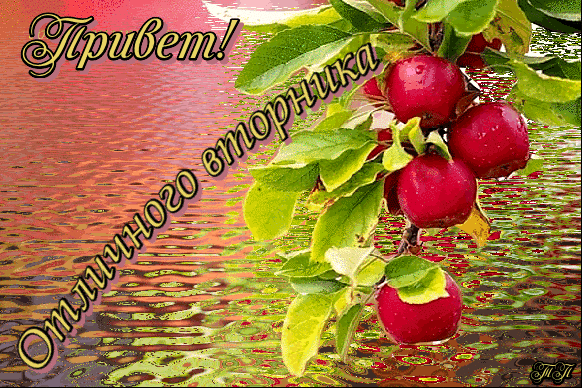 Открытка Открытки на вторник - Открытка с цветами яблони | Красивая открытка #10