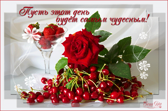 Открытка Открытки хорошего дня - Открытка с красной розой, клубникой и вишней | Красивая открытка #236