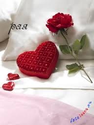 Открытка открытки с именем Раиса  - Красная открытка в форме сердца и роза на белом фоне | Красивая открытка #14