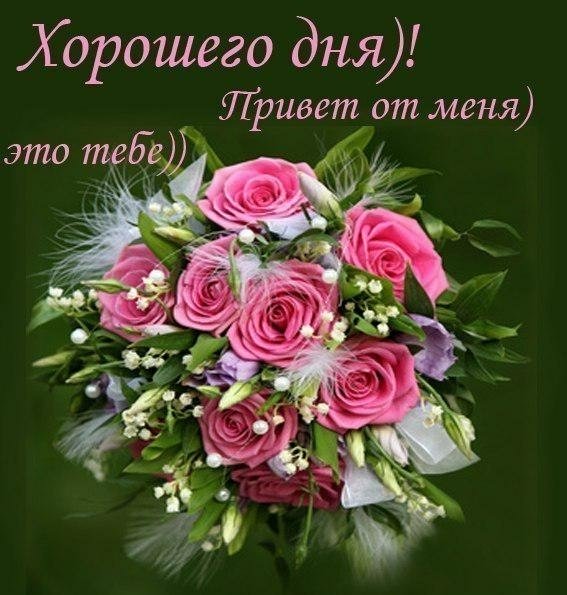 Открытка добрый день - Букет роз и стефанотис: нежная красота | Красивая открытка #43