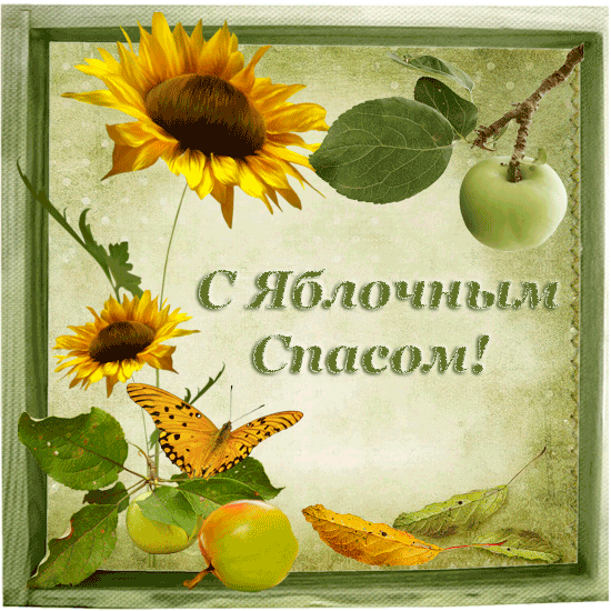 Открытка Яблочный спас - Открытка: Подсолнух, яблоки, бабочка | Красивая открытка #219