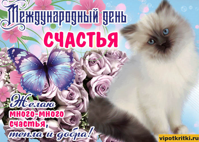 Открытка с днём счастья - Мета с днем рождения! Счастья, мета и добра | Красивая открытка #125