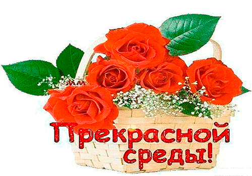 Открытка Открытки на среду - Открытка с красными розами в корзинке | Красивая открытка #120