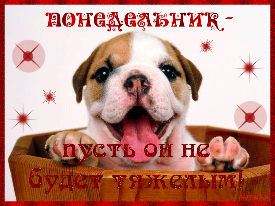 Открытка открытки с пожеланиями удачного понедельника  - Щенок бульдога на открытке: милая праздничная открытка | Красивая открытка #9