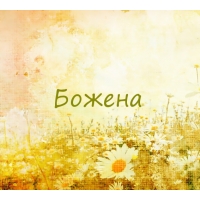 Открытка открытки с именем Божена - Поле ромашек. Открытка с цветами. | Красивая открытка #3