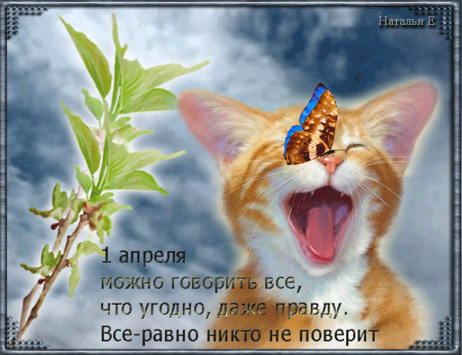 Открытка 1 апреля - Открытка: Смеющийся кот с бабочкой на ветке | Красивая открытка #114