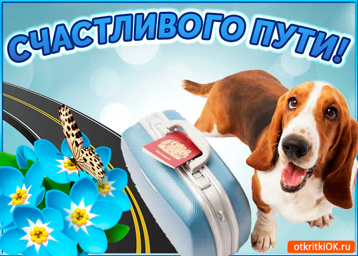 Открытка Счастливого пути - Открытка с щенком и паспортом  Открытки ОК | Красивая открытка #45