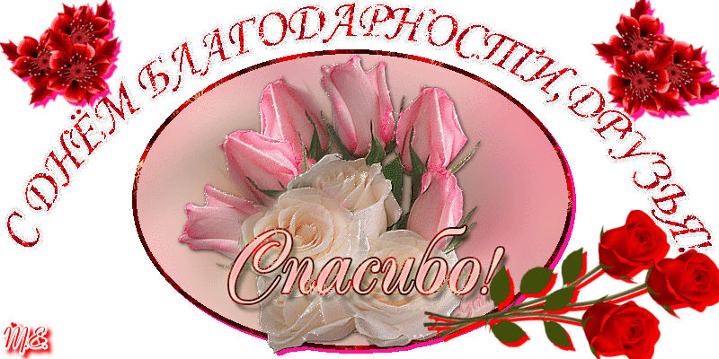 Открытка День спасибо - Открытка с цветами: розы и бутоны | Красивая открытка #4