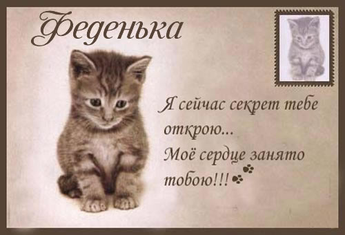 Открытка Открытки с именем Федор - Открытка с котенком: милая и трогательная | Красивая открытка #27