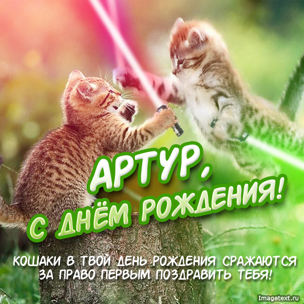 Открытка открытки с именем Артур - С Днём Рождения! Открытка с котиками | Красивая открытка #9