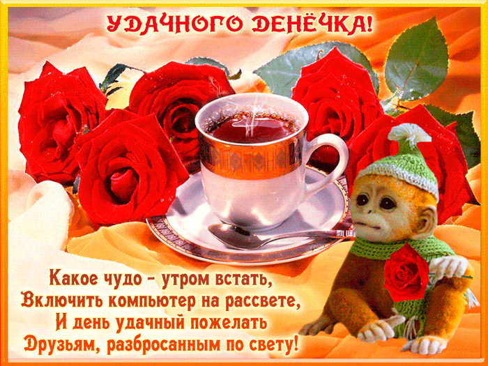 Открытка Открытки хорошего дня - Открытка с обезьянкой и чаем: яркие розы, милая зверюшка | Красивая открытка #6