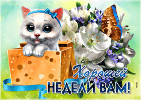 Открытка Хорошей недели - Открытка с котенком и цветами: С Днём недели! | Красивая открытка #33