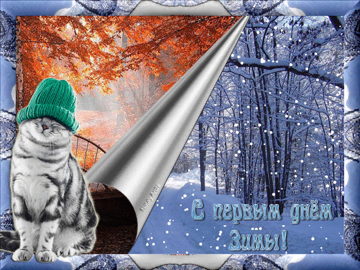 Открытка С первым днём зимы - С днем рождения! Снежный кот - зимняя открытка | Красивая открытка #59
