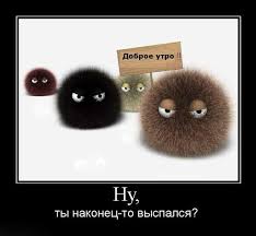Открытка Открытки с приколами доброе утро - Открытка с пушистиками: добрая ночь, ты выспался? | Красивая открытка #19