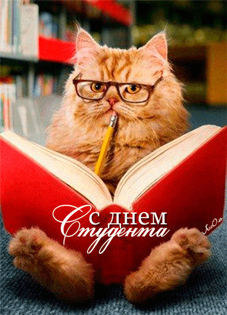 Открытка Открытки с днем студента - С Днём знаний! Открытка с котом и книгой | Красивая открытка #107