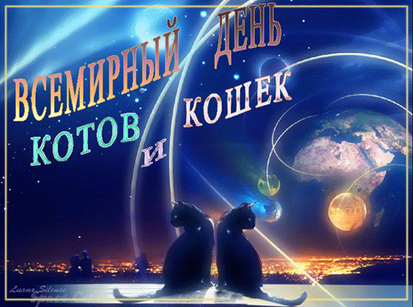 Открытка День Кошек - Открытка с черными котами на космическом фоне | Красивая открытка #18