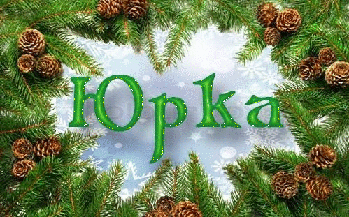 Открытка Открытки с именем Юрий - Зелёная надпись "Опка" на фоне ёлки и шишек | Красивая открытка #226