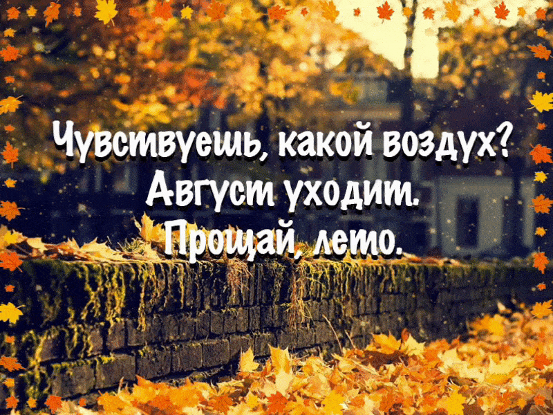 Открытка Открытки с последним днем лета - Осенняя открытка: желтые листья и кирпичная стена | Красивая открытка #9