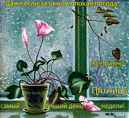 Открытка Открытки на пятницу - Цветы в горшке на окне: открытка с дождем | Красивая открытка #227