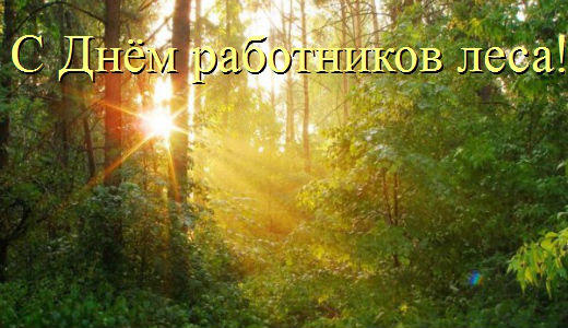 Открытка День работников леса - Солнечный лес: открытка с лучами света | Красивая открытка #3