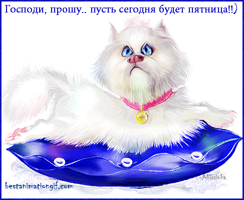 Открытка Открытки на пятницу - Белый кот на подушке - анимированная открытка | Красивая открытка #112