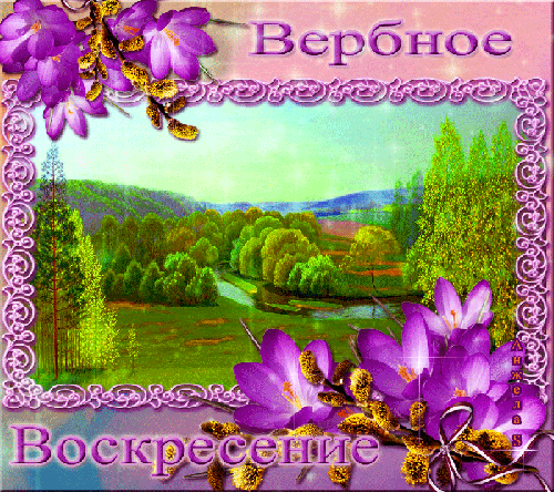 Открытка С вербным воскресеньем - Пейзаж с рекой и цветущими фиалками | Красивая открытка #198