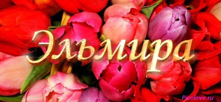 Открытка открытки с именем Эльмира - Букет роз: красные, розовые и фиолетовые цветы | Красивая открытка #1
