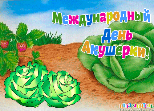 Открытка День акушерки - Открытка с клубникой и капустой  Поздравления | Красивая открытка #5