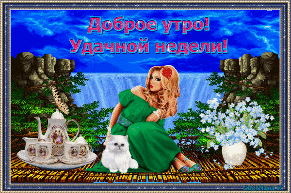 Открытка Открытки удачной недели - Открытка: Девушка, кот, чай, природа | Красивая открытка #150