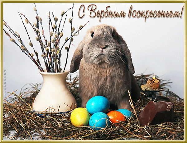 Открытка С вербным воскресеньем - Пушистый кролик и пасхальные яйца | Красивая открытка #281
