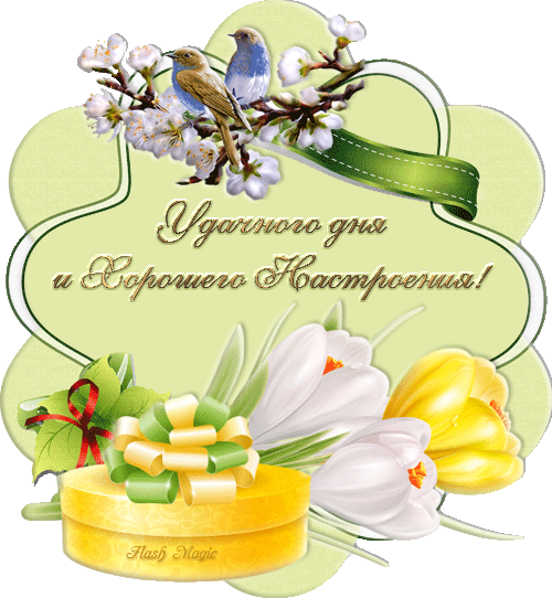 Открытка Открытки желаю удачи - Открытка: Тюльпаны, весна, птичка, поздравление | Красивая открытка #75