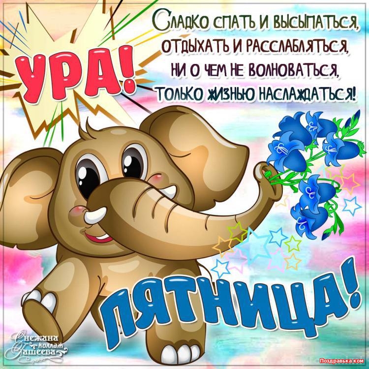 Открытка открытки с пожеланиями хорошей пятницы  - С Днем Рождения! Открытка с веселым слоненком | Красивая открытка #7
