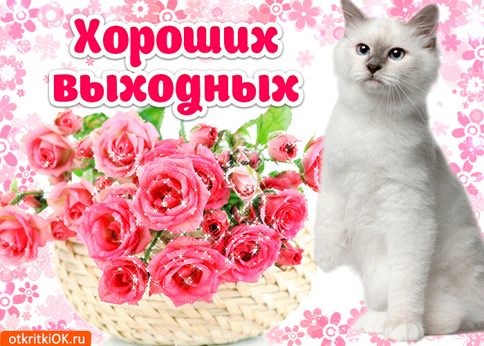 Открытка Выходные - Открытка с котенком и розами | Красивая открытка #76