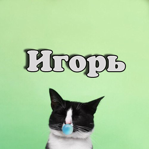 Открытка открытки с именем Игорь - Черный кот с синей жевательной резинкой | Красивая открытка #29