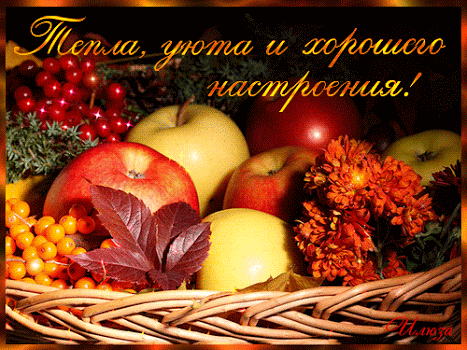 Открытка хорошего настроения - Открытка с яблоками и рябиной | Красивая открытка #69