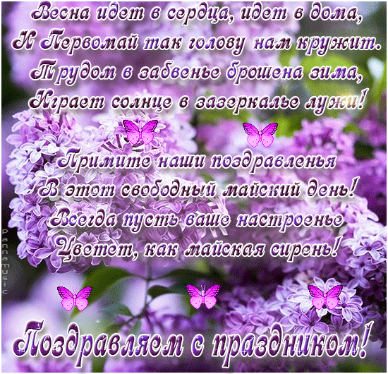 Открытка С сиренью - Открытка с фиалками и бабочками  пожелания счастья | Красивая открытка #261