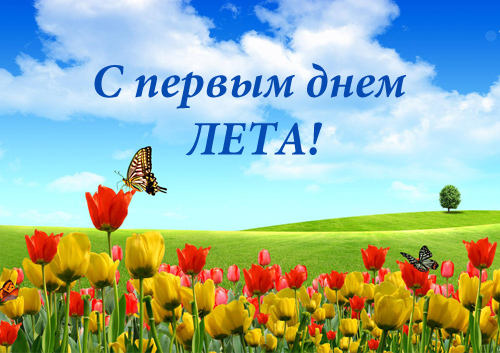 Открытка открытки с первым днем лета  - Поле с цветами и бабочками | Красивая открытка #13