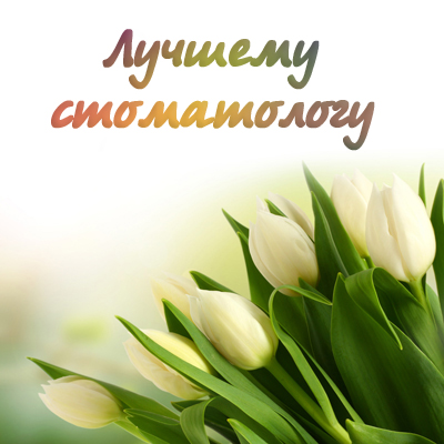 Открытка Открытки с днем стоматолога - Букет белых тюльпанов на фоне зелени | Красивая открытка #80