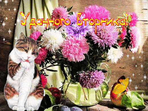 Открытка С пионами - Открытка с котиком и цветами | Красивая открытка #30