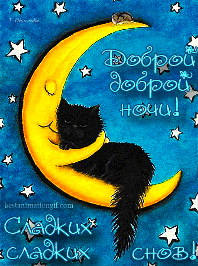 Открытка Спокойной ночи - Открытка с котиком на луне — Доброй ночи! | Красивая открытка #324