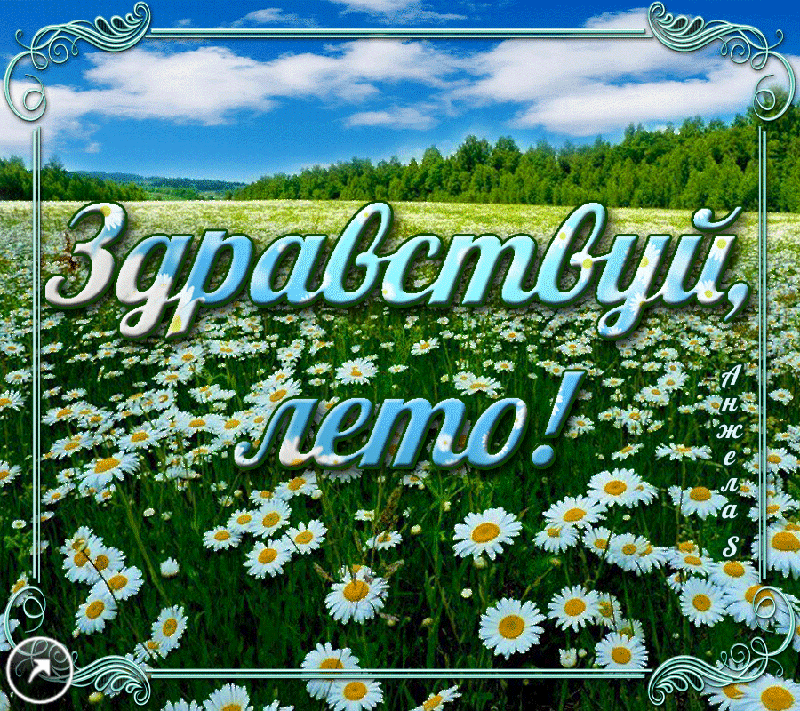 Открытка открытки с первым днем лета  - Поле с цветами, открытка "Здравствуй!" | Красивая открытка #43