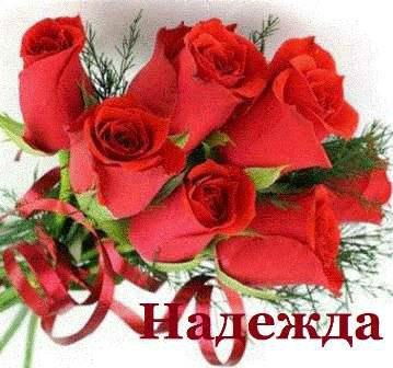 Открытка открытки с именем Надежда  - Букет красных роз: открытка с цветами | Красивая открытка #2