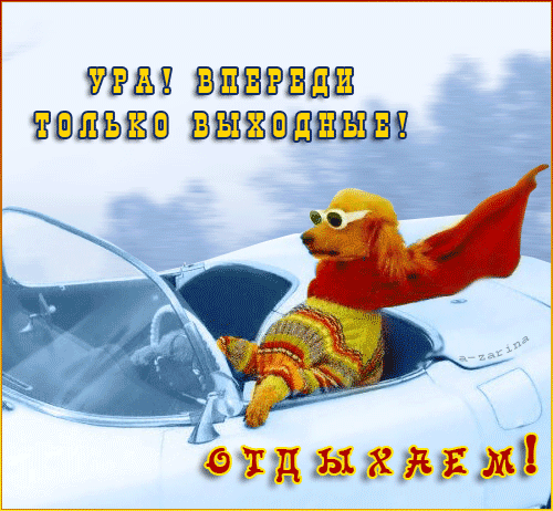 Открытка Хороших выходных - Собака в авто: праздничная открытка | Красивая открытка #65