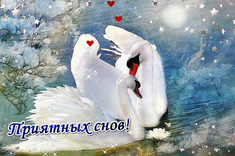 Открытка С лебедями - Открытка с лебедями: Приятных снов! | Красивая открытка #6