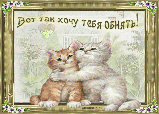 Открытка Обнимаю - Открытка с котятами: милые кошки, цветы и фон | Красивая открытка #68