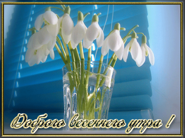 Открытка Доброе утро - Подснежники в вазе: открытка с весенним утром | Красивая открытка #367